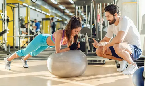 The High-Street Brand Fashion