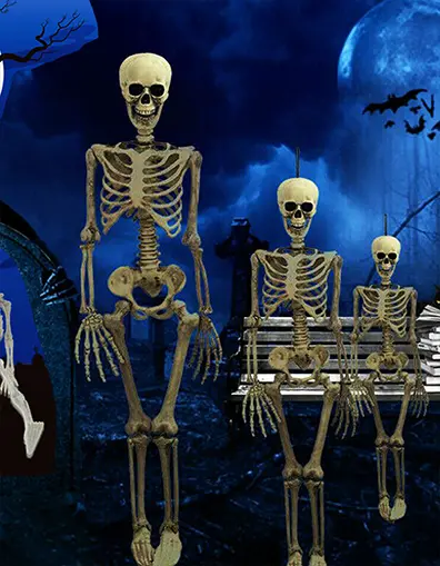 Halloween Scary Skull Bone