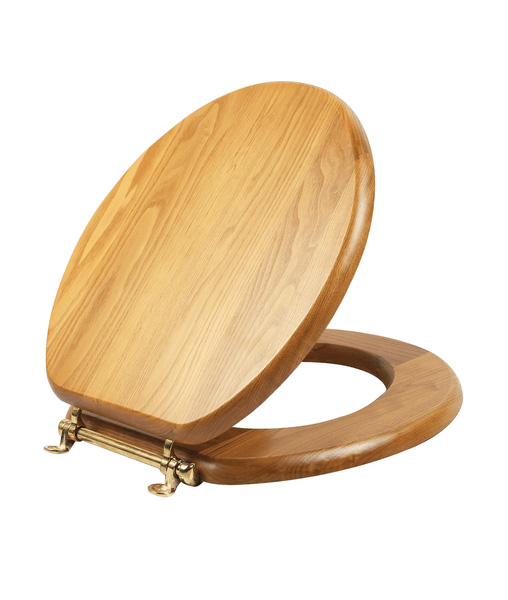 Toilet lid